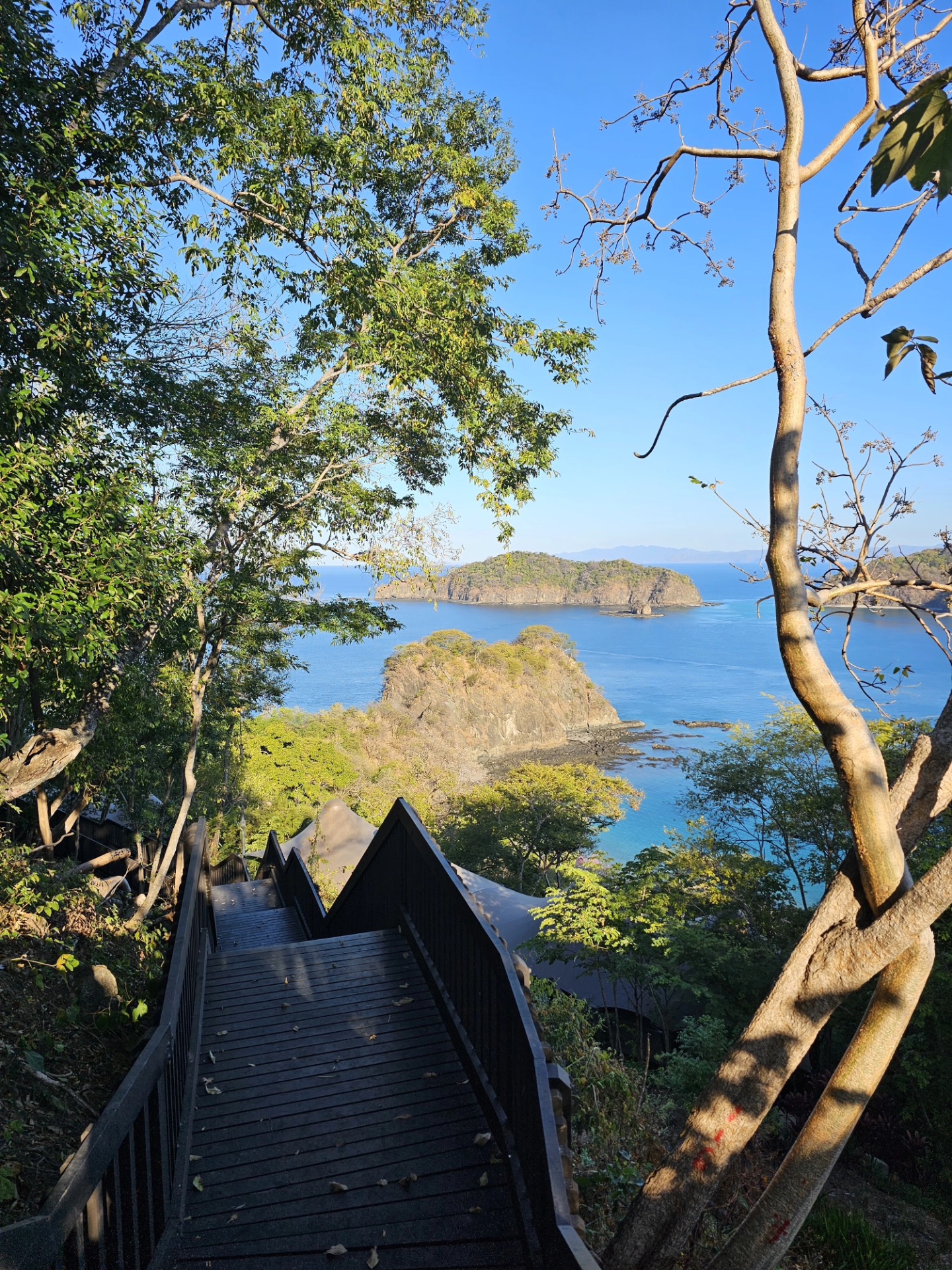 Nacascolo-Virador-Huevo