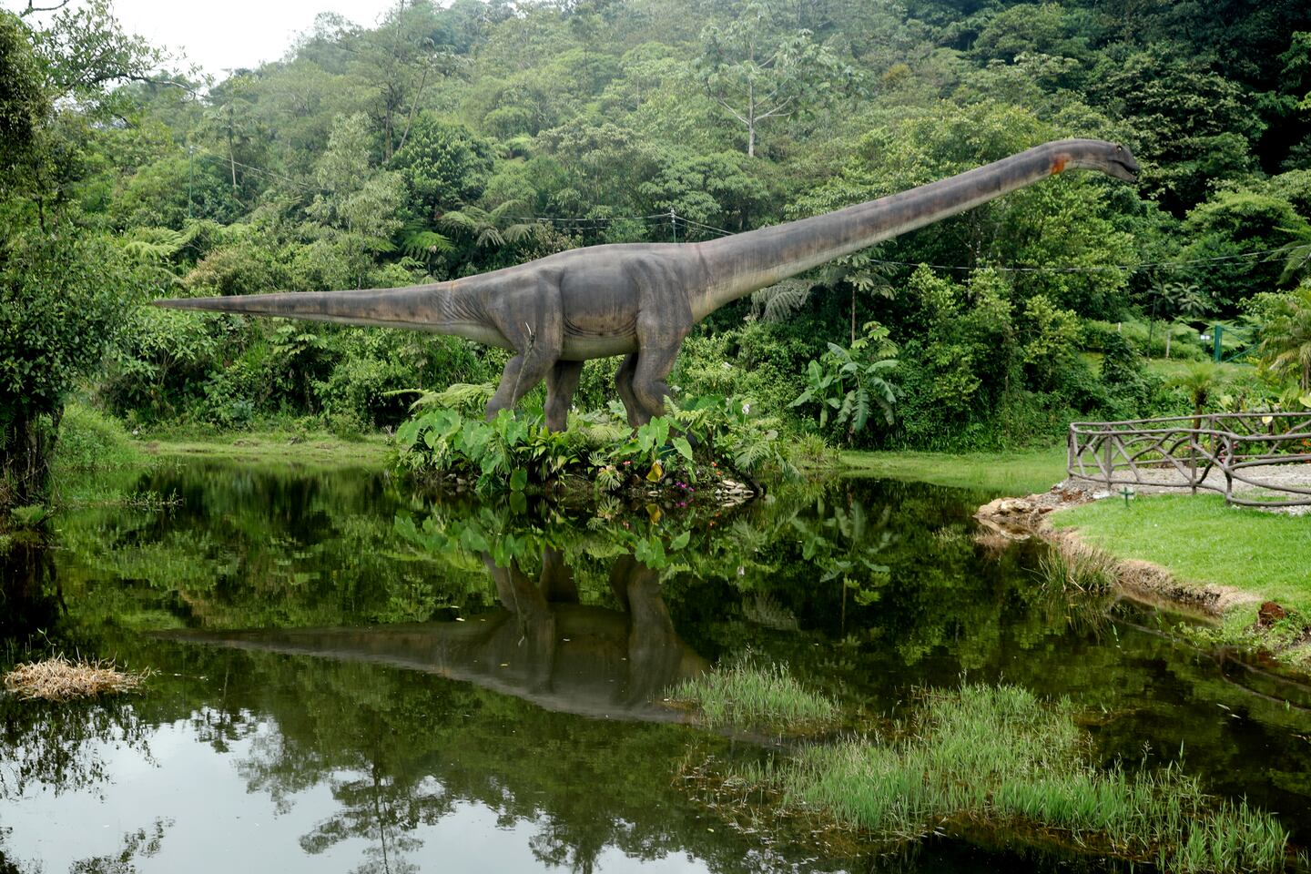 Dino Land y Río Agrio