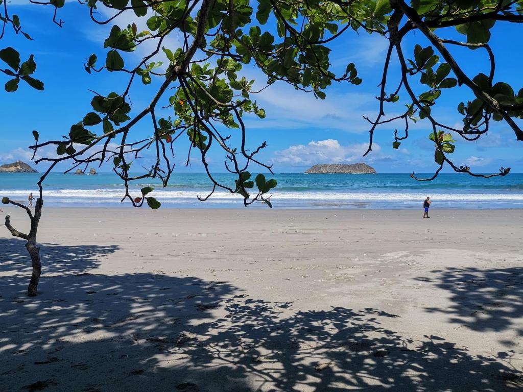 Manuel Antonio - foto 4