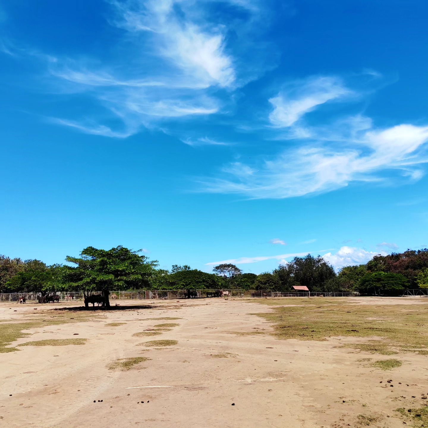 Ponderosa Adventure Park - foto 7