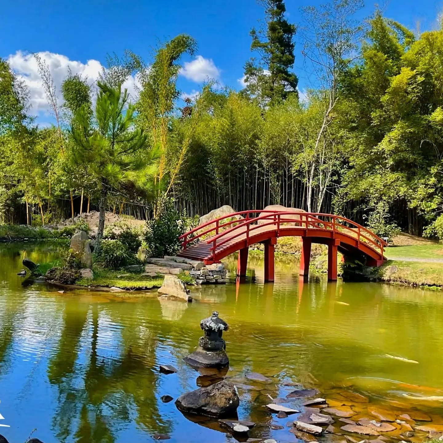 Volcán Irazú + Lankester - foto 2
