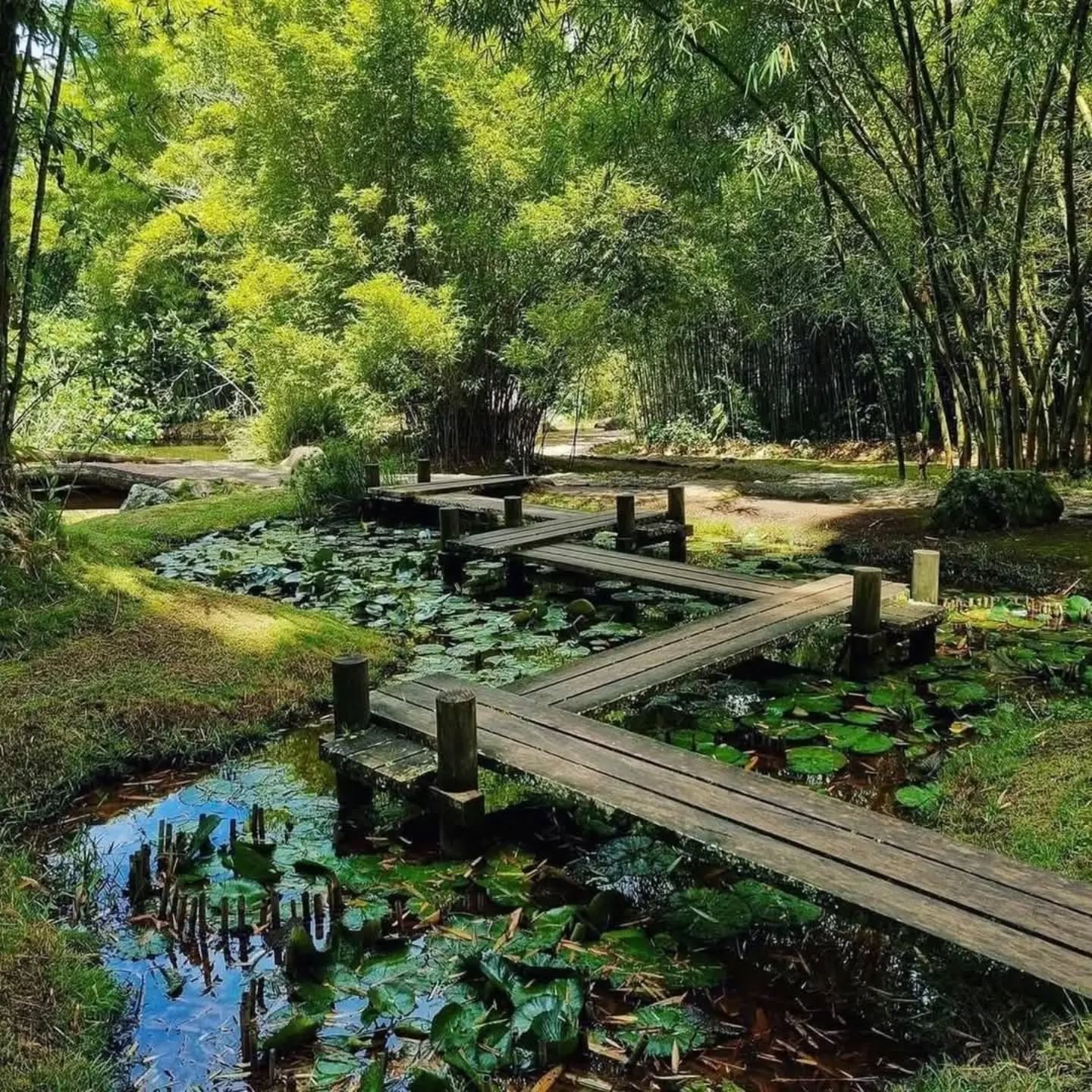 Volcán Irazú + Lankester - foto 3