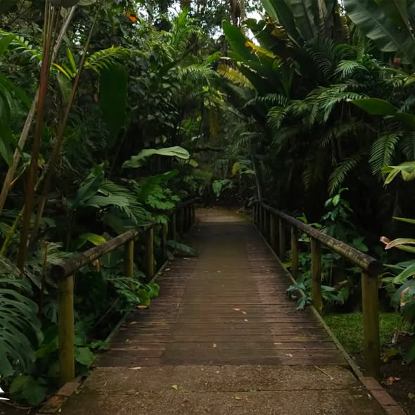 Volcán Irazú + Lankester - foto 4